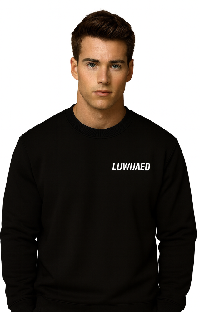 Luwijaed Jumper Men's - black